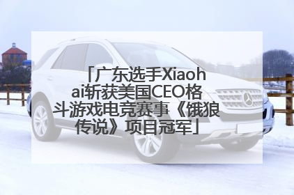 广东选手Xiaohai斩获美国CEO格斗游戏电竞赛事《饿狼传说》项目冠军