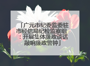 广元市纪委监委驻市经信局纪检监察组：开展集体廉政谈话 敲响廉政警钟
