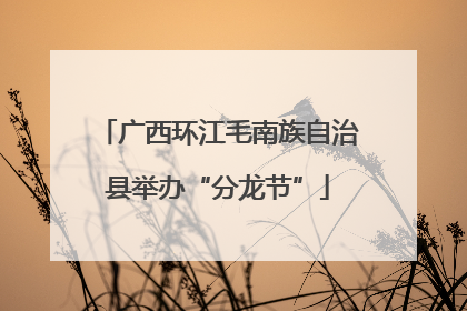 广西环江毛南族自治县举办“分龙节”