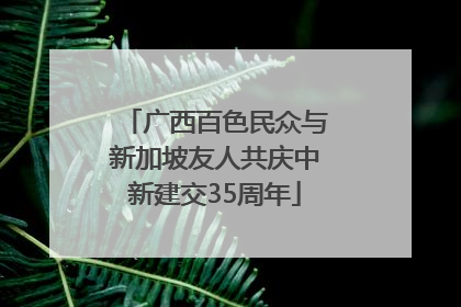 广西百色民众与新加坡友人共庆中新建交35周年