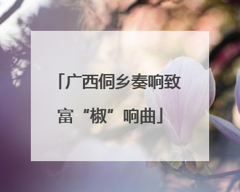 广西侗乡奏响致富“椒”响曲