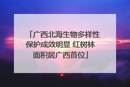 广西北海生物多样性保护成效明显 红树林面积居广西首位