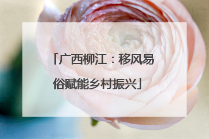 广西柳江：移风易俗赋能乡村振兴