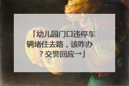 幼儿园门口违停车辆堵住去路，该咋办？交警回应→