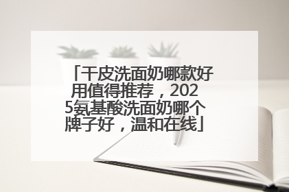 干皮洗面奶哪款好用值得推荐，2025氨基酸洗面奶哪个牌子好，温和在线