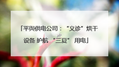 平舆供电公司：“义诊”烘干设备 护航 “三夏” 用电
