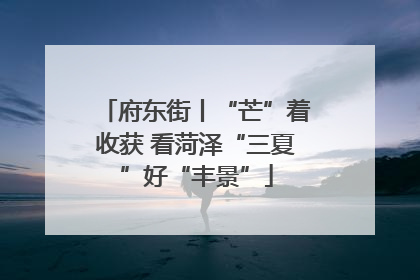 府东街丨“芒”着收获 看菏泽“三夏”好“丰景”