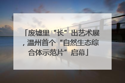 废墟里“长”出艺术展，温州首个“自然生态综合体示范片”启幕