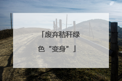 废弃秸秆绿色“变身”