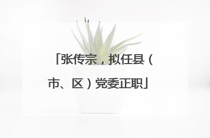 张传宗，拟任县（市、区）党委正职