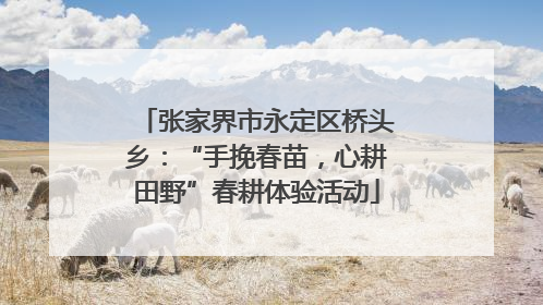 张家界市永定区桥头乡：“手挽春苗，心耕田野”春耕体验活动