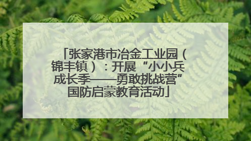 张家港市冶金工业园（锦丰镇）：开展“小小兵成长季——勇敢挑战营”国防启蒙教育活动