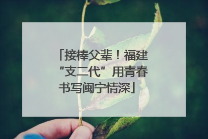 接棒父辈！福建“支二代”用青春书写闽宁情深