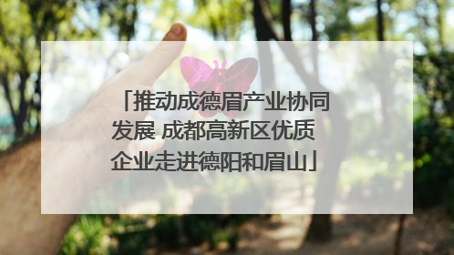 推动成德眉产业协同发展 成都高新区优质企业走进德阳和眉山