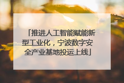 推进人工智能赋能新型工业化，宁波数字安全产业基地投运上线