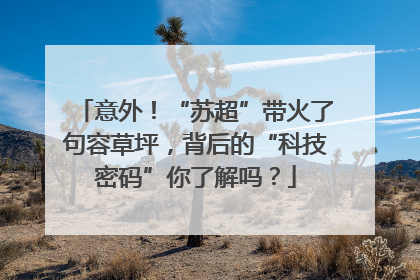 意外！“苏超”带火了句容草坪，背后的“科技密码”你了解吗？
