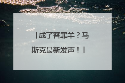成了替罪羊？马斯克最新发声！