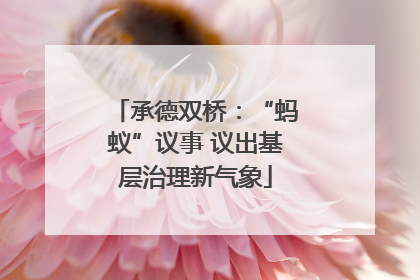 承德双桥：“蚂蚁”议事 议出基层治理新气象