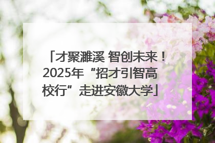 才聚濉溪 智创未来！2025年“招才引智高校行”走进安徽大学