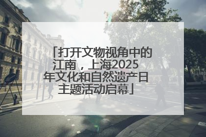 打开文物视角中的江南，上海2025年文化和自然遗产日主题活动启幕
