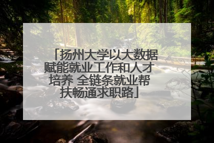 扬州大学以大数据赋能就业工作和人才培养 全链条就业帮扶畅通求职路