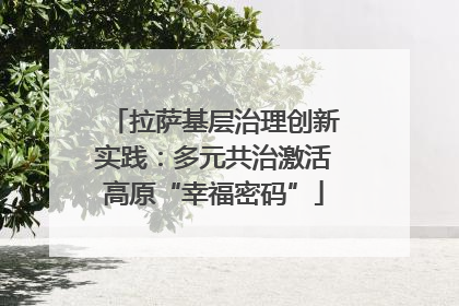 拉萨基层治理创新实践：多元共治激活高原“幸福密码”
