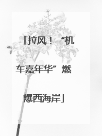 拉风！“机车嘉年华”燃爆西海岸