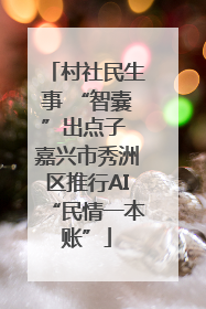 村社民生事 “智囊”出点子 嘉兴市秀洲区推行AI“民情一本账”