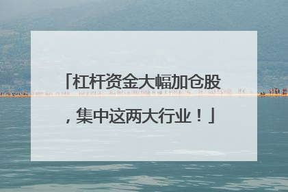 杠杆资金大幅加仓股，集中这两大行业！