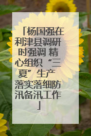 杨国强在利津县调研时强调 精心组织“三夏”生产 落实落细防汛备汛工作