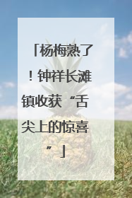 杨梅熟了！钟祥长滩镇收获“舌尖上的惊喜”