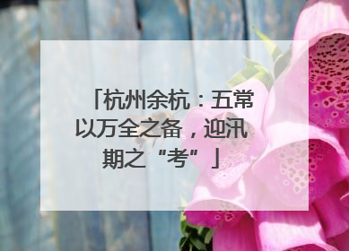 杭州余杭：五常以万全之备，迎汛期之“考”