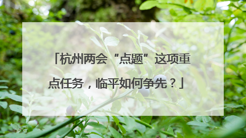 杭州两会“点题”这项重点任务，临平如何争先？