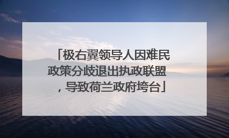 极右翼领导人因难民政策分歧退出执政联盟，导致荷兰政府垮台