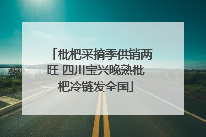 枇杷采摘季供销两旺 四川宝兴晚熟枇杷冷链发全国