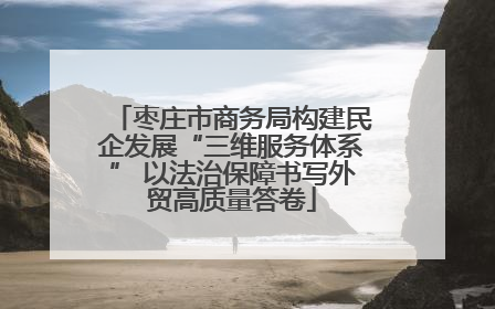 枣庄市商务局构建民企发展“三维服务体系” 以法治保障书写外贸高质量答卷