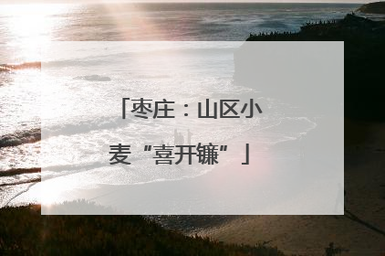 枣庄：山区小麦“喜开镰”