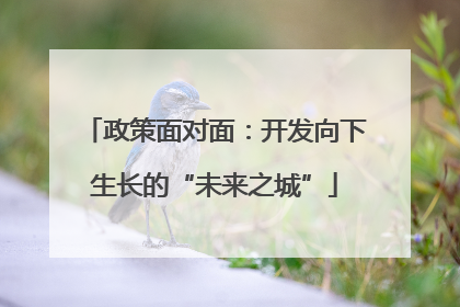 政策面对面：开发向下生长的“未来之城”