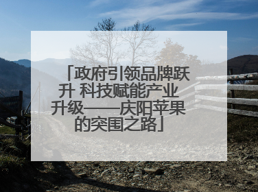 政府引领品牌跃升 科技赋能产业升级——庆阳苹果的突围之路