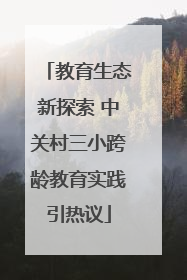 教育生态新探索 中关村三小跨龄教育实践引热议