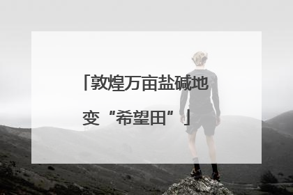 敦煌万亩盐碱地变“希望田”