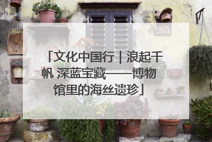 文化中国行｜浪起千帆 深蓝宝藏——博物馆里的海丝遗珍
