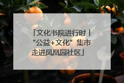 文化书院进行时丨“公益+文化”集市走进凤凰园社区
