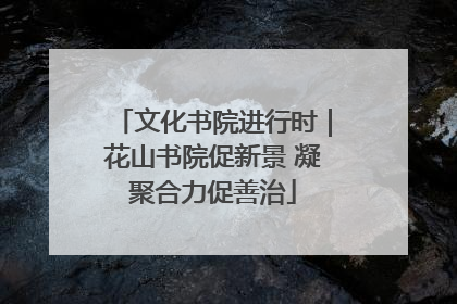 文化书院进行时｜花山书院促新景 凝聚合力促善治