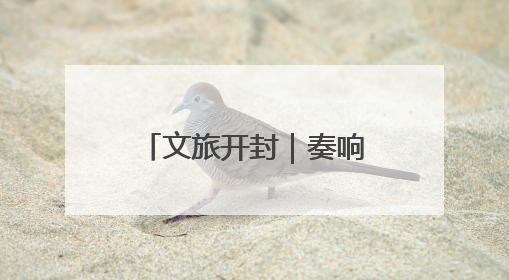 文旅开封｜奏响“路”上强音 赋能文旅发展