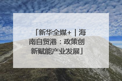 新华全媒+｜海南自贸港：政策创新赋能产业发展