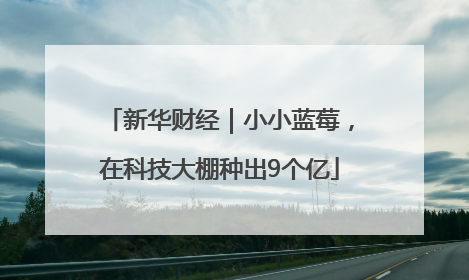 新华财经｜小小蓝莓，在科技大棚种出9个亿