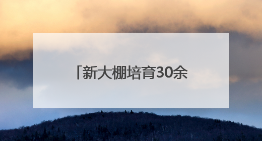 新大棚培育30余种草莓 活力拉满