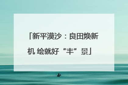 新平漠沙：良田焕新机 绘就好“丰”景