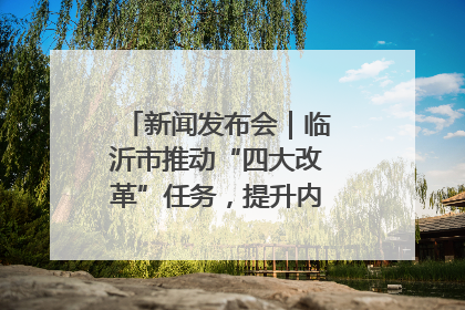 新闻发布会｜临沂市推动“四大改革”任务，提升内部审计监督效能